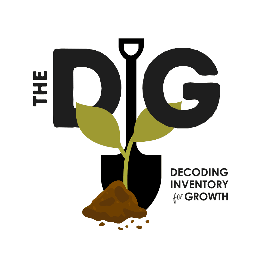 The DIG